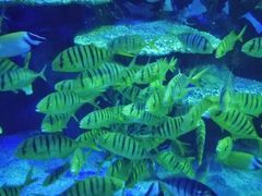 -石林冰雪海洋世界