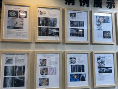 -半岛宠物医院24小时·内窥镜·牙科·碎石中心(府城大道店)