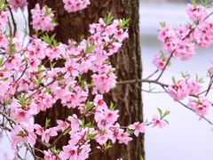 -东华大学(松江校区)
