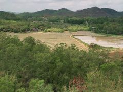 -台山颐和温泉城