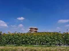 -光明小镇欢乐田园