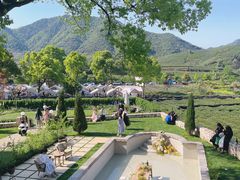 -龙坞茶村