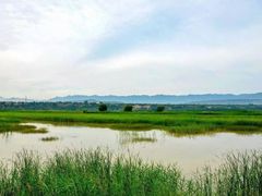 -函谷关历史文化旅游区