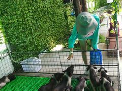 -史努比缤纷世界