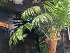 -川悦留香·海鲜餐厅(海棠68环球美食街店)