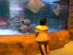 -沈阳海洋探索中心