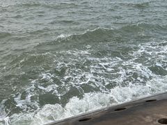 -东堤公园