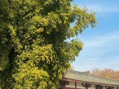 -拜将坛