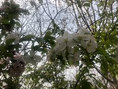 -塘沽森林公园