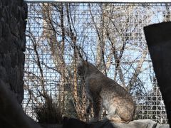 -青藏高原野生动物园