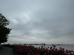 -上海滨江森林公园