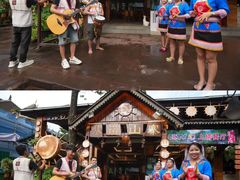 -基诺山寨.版纳民族特色菜