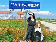 -杭州湾海上花田景区