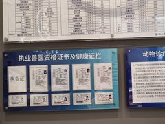 -关爱宠物医院·猫科中心·消化科(滨湖万达分院)