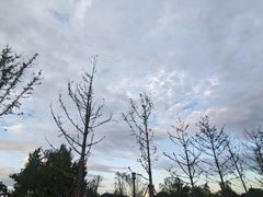 -李时珍纪念馆
