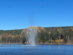 -五营红松林海景区