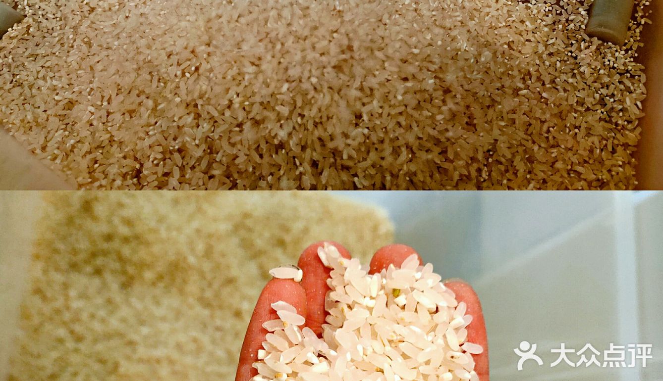 深圳首家国潮米屋，有趣！