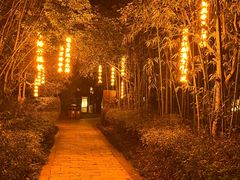 -咸宁温泉谷大酒店