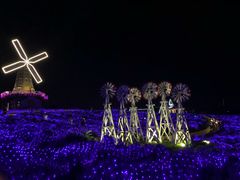 -大塘金香草谷