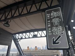 -武汉知音号