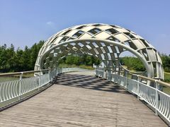 -同里国家湿地公园