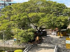 -石炮台公园
