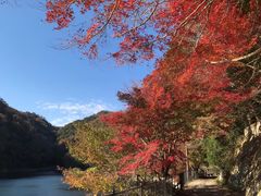 -四明山国家森林公园