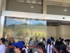 -中国宣纸文化园
