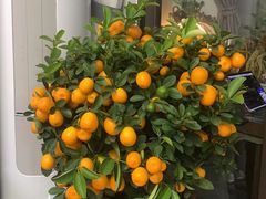 -渔文乐·海鲜大排档(壹品总店)