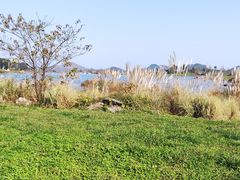 -云漫湖生态度假公园