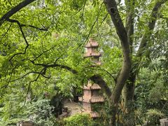 -乐山大佛风景名胜区乌尤寺南门-售票点