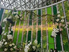 -花之城