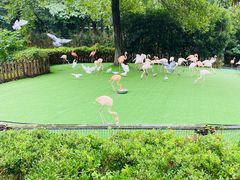 -上海野生动物园