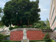 -广州神农草堂中医药博物馆