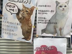 -御宝贝24h宠物医院·转诊中心·CT核磁血透中心(厦门总院)