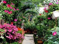 -三圣花乡旅游区