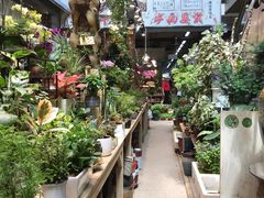 -双季花艺园艺市场(浦东店)