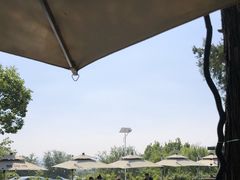 -蘇河湾·新鲁菜·泰山宴(泰山店)