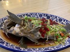 清蒸黑头鱼-海岛渔村大酒店(云霄路店)