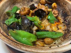 -天天鱼港·海鲜·鲅鱼水饺·招牌烤鸭(黄骅店)