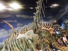 -自贡恐龙博物馆