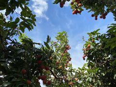 -水濂山森林公园