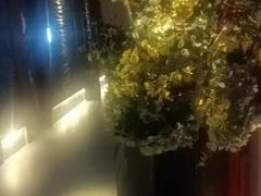 -大桶大足浴(陈春路店（3公里左右免费接送）)