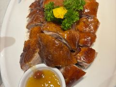 不倒翁广式烧鸭-不倒翁·安徽名菜楼(步行街店)
