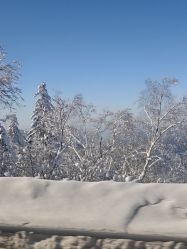-大秃顶子山