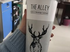 -THE ALLEY 鹿角巷(时代天街A馆店)