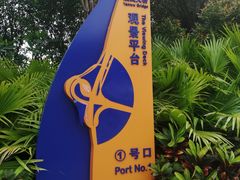 -演武大桥观景平台