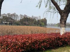 -东湖落雁景区