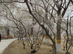 -河北省园博园