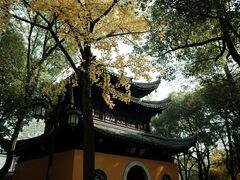 -西园戒幢律寺
